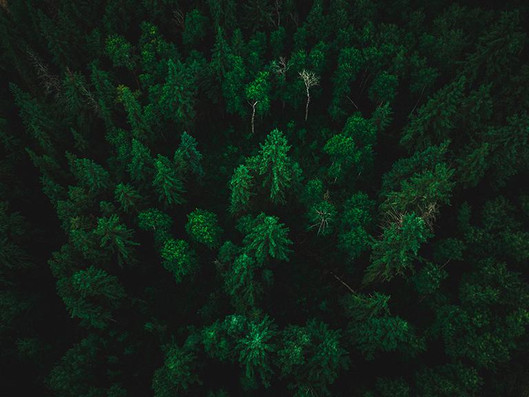 Nachhaltigkeit Menu Uebersichtsbild 2025