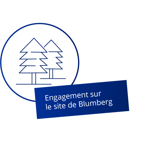 Engagement sur le site de Blumberg