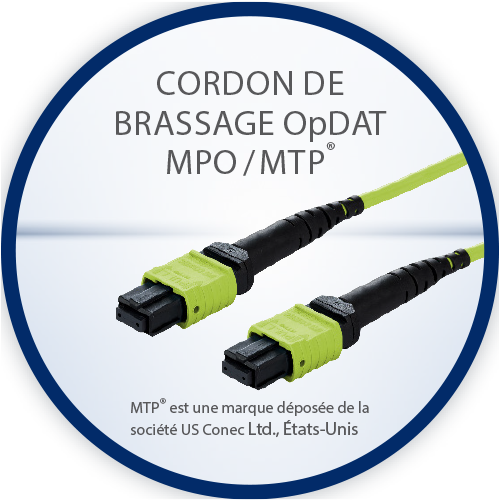 Cordon de brassage OpDAT MPO / MTP®